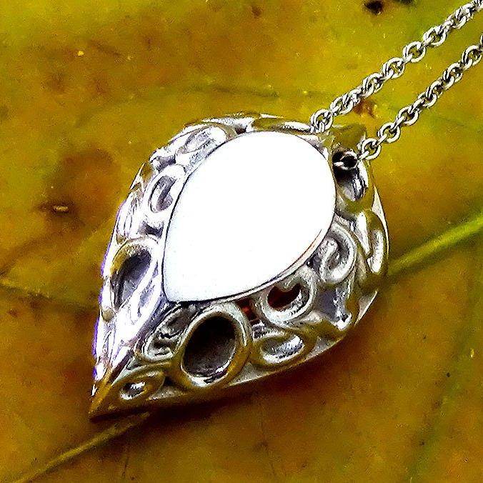 Sapphire P24 - Shilat