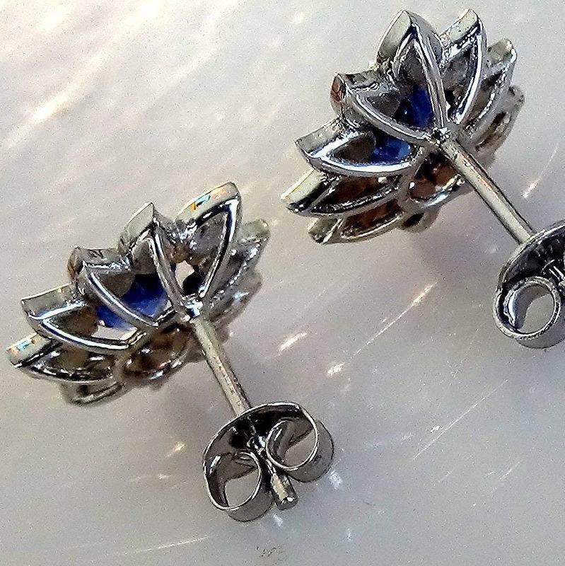 Sapphire E010 - Shilat