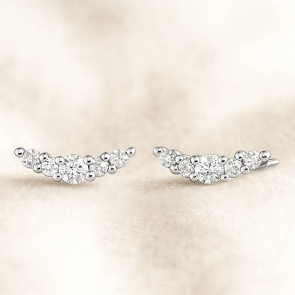 Pair of wing-shaped earrings on a beige background