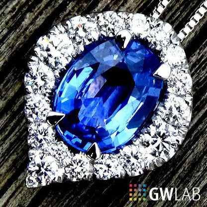 Sapphire P43 - Shilat 