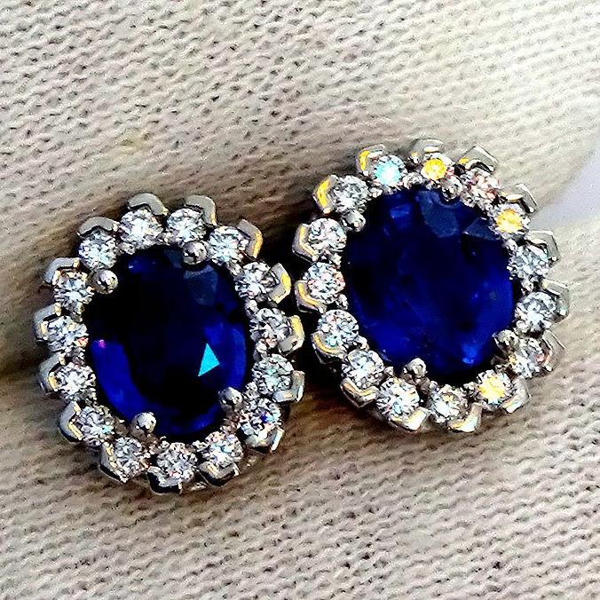 Blue sapphire earrings - Shilat